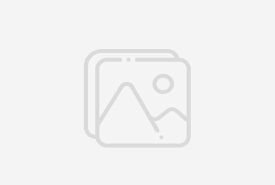 5 Road Trips from Berkeley: Scenic Drives, Coastal Towns, and National Parks